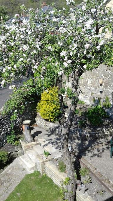 Victoria Boutique Lodge 'Stan Sea View&Garden Apartment Ventnor Extérieur photo