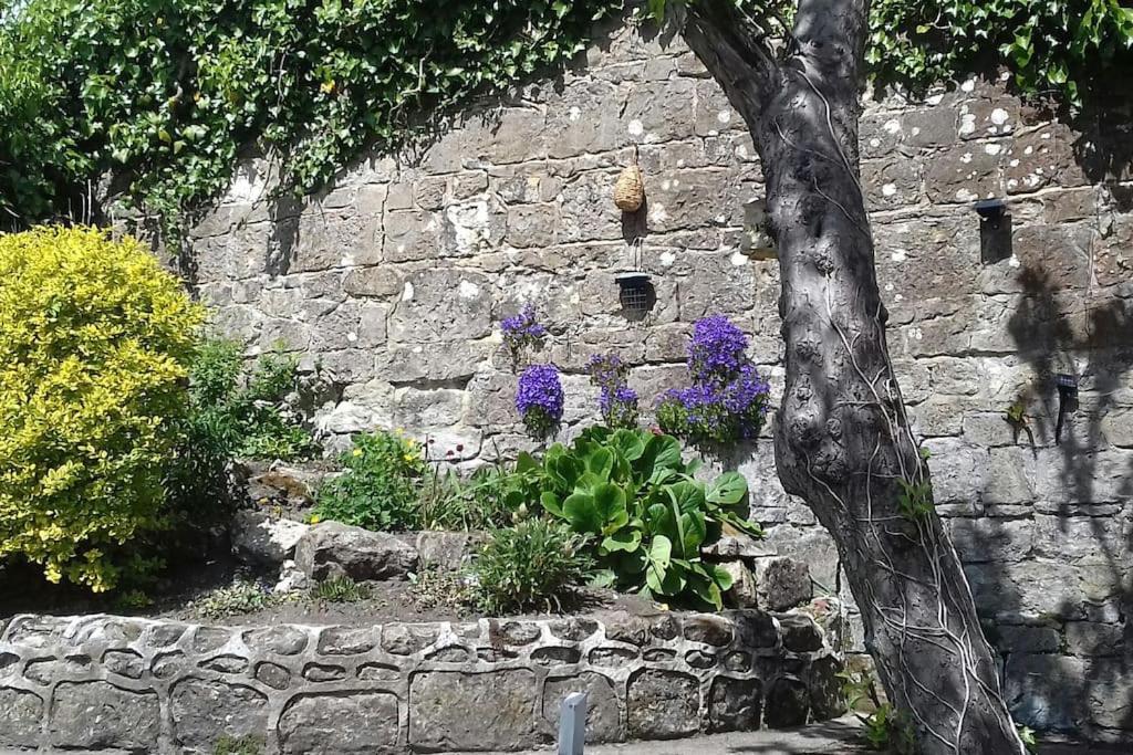 Victoria Boutique Lodge 'Stan Sea View&Garden Apartment Ventnor Extérieur photo